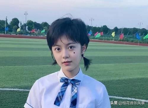 圈内爆料赵金麦视频全集,视频全集背后的惊人真相  第1张